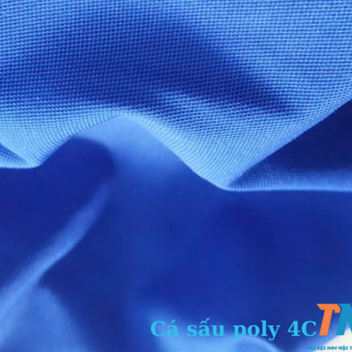 CÁ SẤU 4C POLY