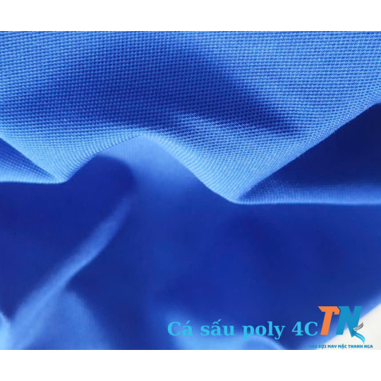 Cá sấu 4C Poly